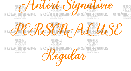 Anteri Signature PERSONAL USE Regular