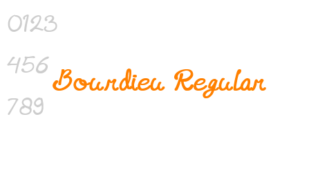 Bourdieu Regular
