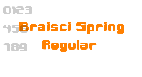 Braisci Spring Regular