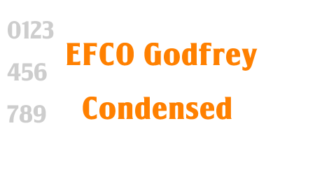 EFCO Godfrey Condensed