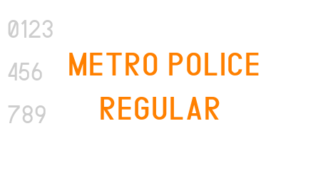 METRO POLICE REGULAR