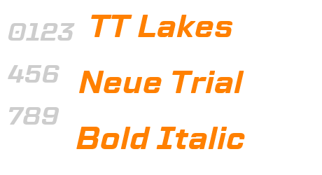 TT Lakes Neue Trial Bold Italic