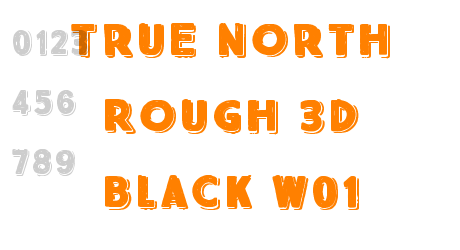 True North Rough 3D Black W01