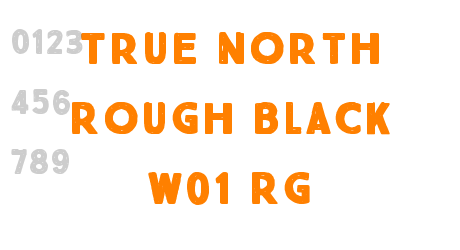 True North Rough Black W01 Rg