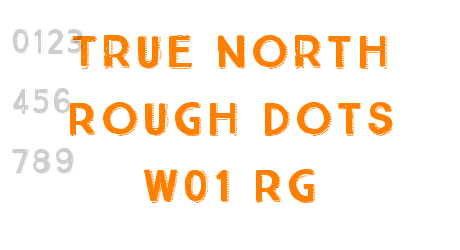 True North Rough Dots W01 Rg