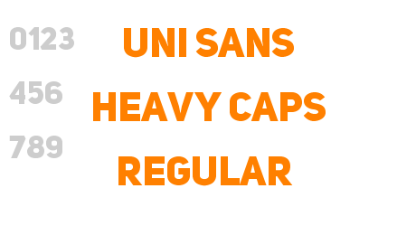 Uni Sans Heavy CAPS Regular
