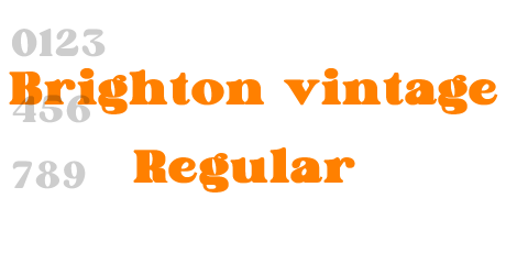 Brighton vintage Regular