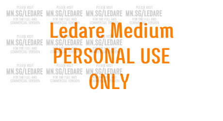 Ledare Medium PERSONAL USE ONLY