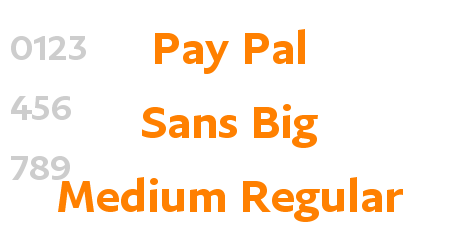Pay Pal Sans Big Medium Regular