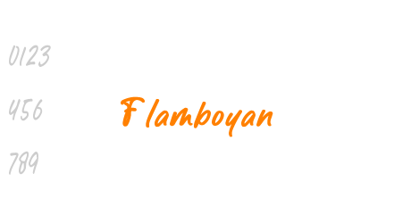 Flamboyan