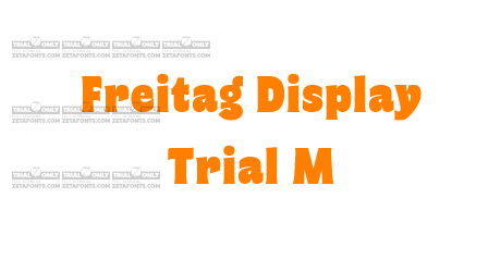 Freitag Display Trial M