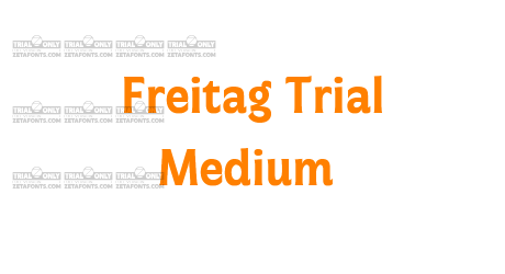 Freitag Trial Medium