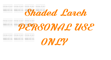 Shaded Larch PERSONAL USE ONLY