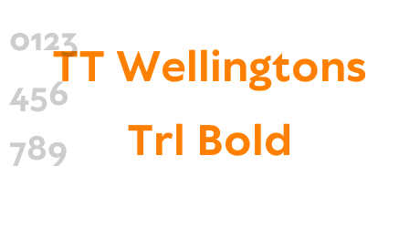 TT Wellingtons Trl Bold