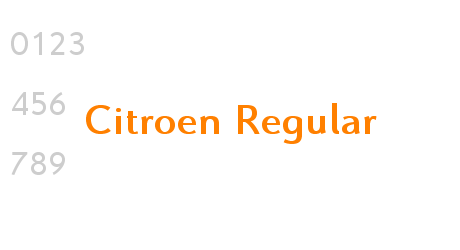 Citroen Regular