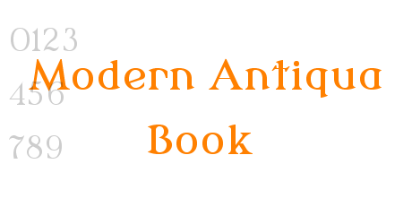 Modern Antiqua Book