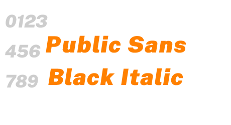 Public Sans Black Italic