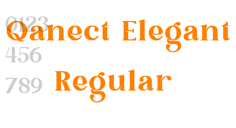 Qanect Elegant Regular