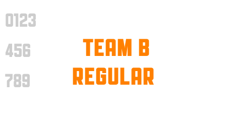 Team B Regular