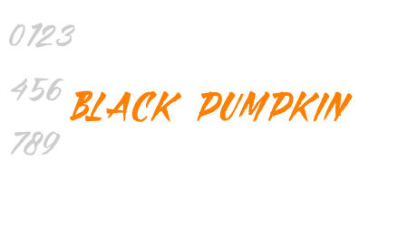 Black Pumpkin