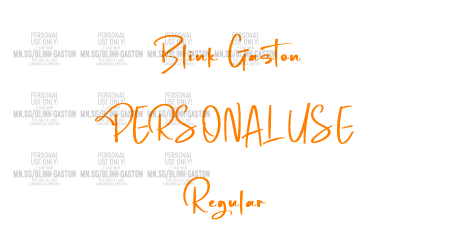 Blink Gaston PERSONAL USE Regular