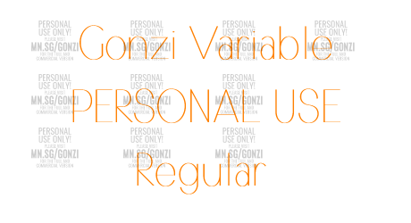 Gonzi Variable PERSONAL USE Regular