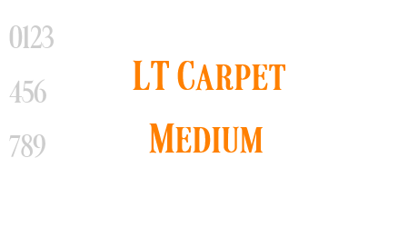 LT Carpet Medium
