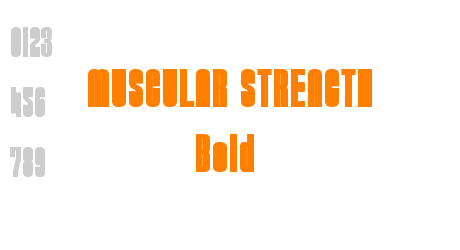 MUSCULAR STRENGTH Bold