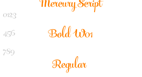 Mercury Script Bold W01 Regular
