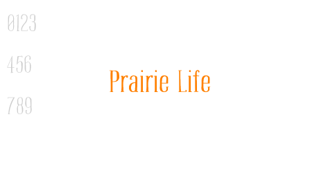 Prairie Life
