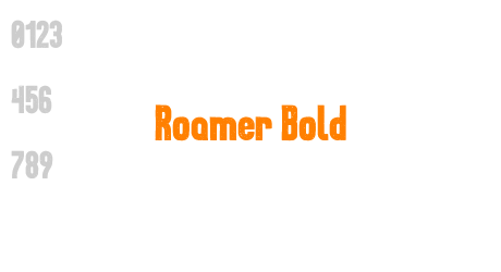 Roamer Bold