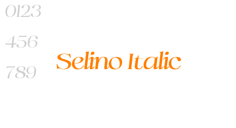 Selino Italic