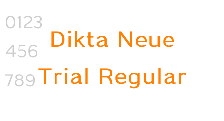 Dikta Neue Trial Regular