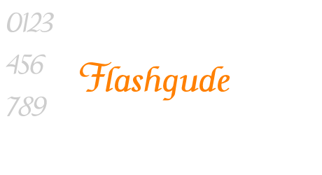 Flashgude