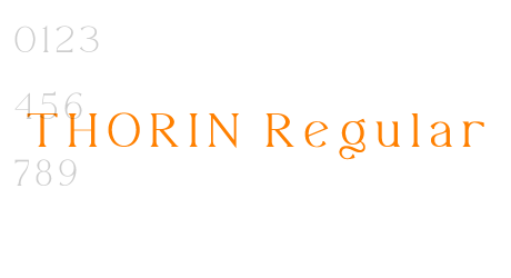 THORIN Regular