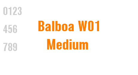 Balboa W01 Medium