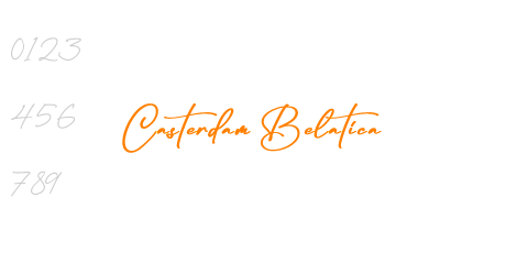 Casterdam Belatica