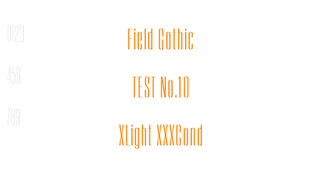Field Gothic TEST No.12 Reg XXXCond