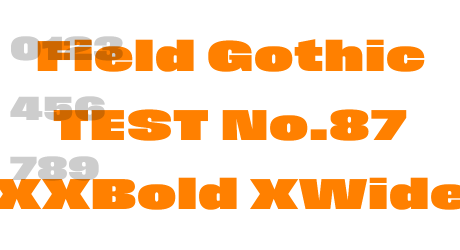 Field Gothic TEST No.87 XXBold XWide