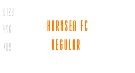HORNSEA FC REGULAR
