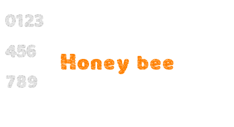 Honey bee