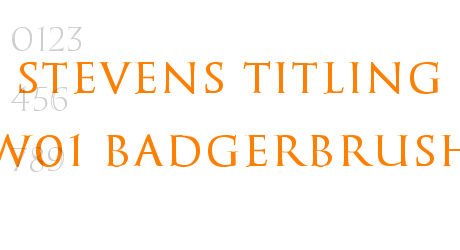Stevens Titling W01 BadgerBrush