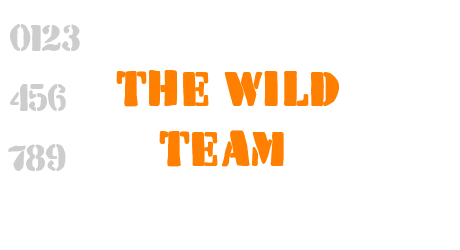 The Wild Team