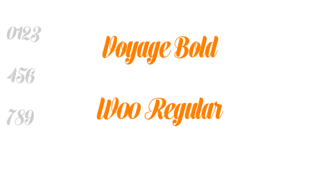 Voyage Bold W00 Regular