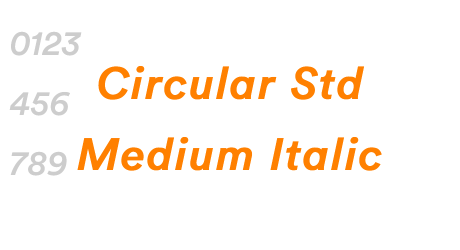 Circular Std Medium Italic