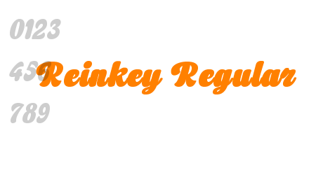 Reinkey Regular