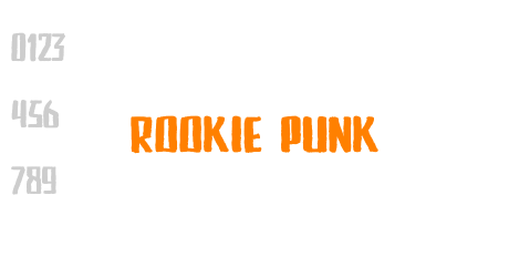 Rookie Punk