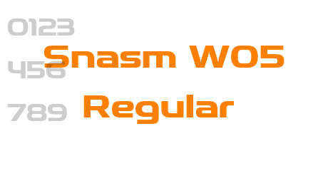 Snasm W05 Regular