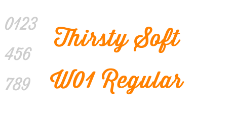 Thirsty Soft W01 Regular