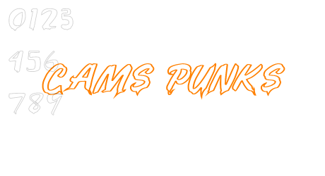 CAMS PUNKS